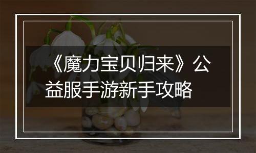 《魔力宝贝归来》公益服手游新手攻略