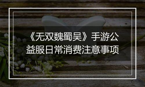 《无双魏蜀吴》手游公益服日常消费注意事项