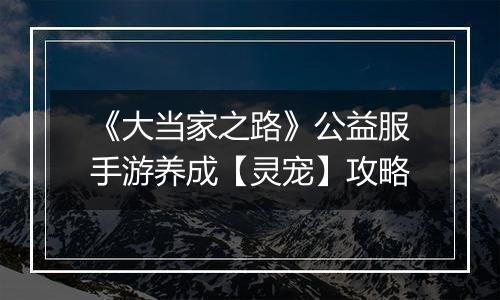 《大当家之路》公益服手游养成【灵宠】攻略