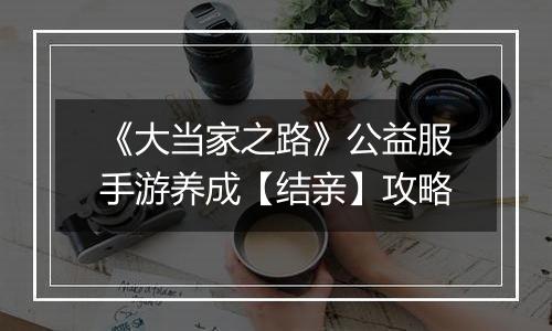 《大当家之路》公益服手游养成【结亲】攻略