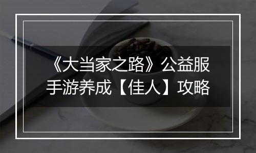 《大当家之路》公益服手游养成【佳人】攻略