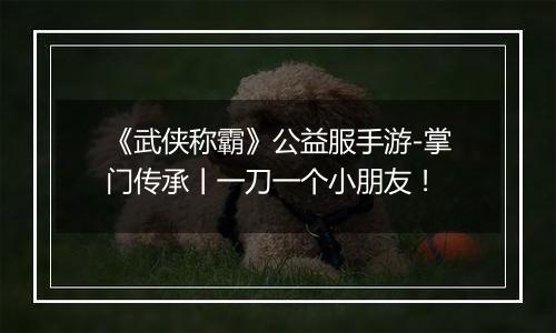 《武侠称霸》公益服手游-掌门传承丨一刀一个小朋友！