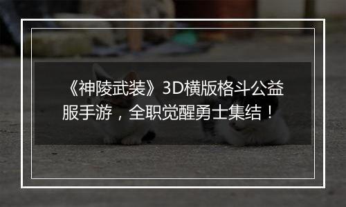 《神陵武装》3D横版格斗公益服手游，全职觉醒勇士集结！