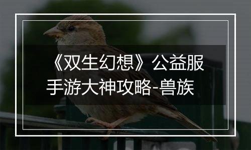 《双生幻想》公益服手游大神攻略-兽族
