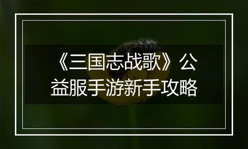 《三国志战歌》公益服手游新手攻略