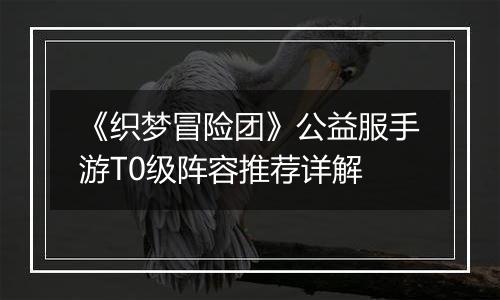《织梦冒险团》公益服手游T0级阵容推荐详解