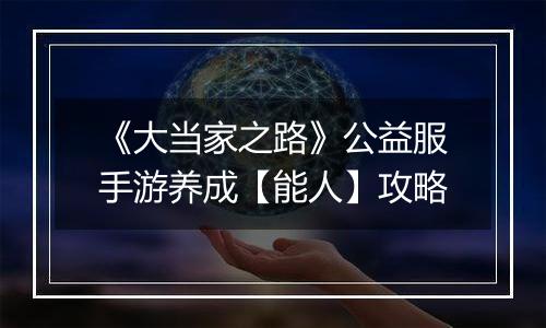 《大当家之路》公益服手游养成【能人】攻略
