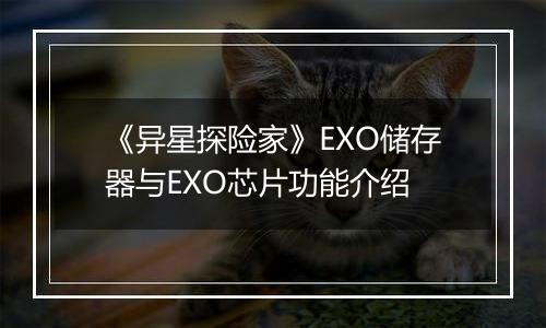 《异星探险家》EXO储存器与EXO芯片功能介绍