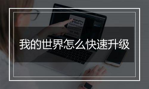 我的世界怎么快速升级