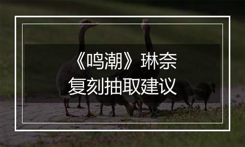《鸣潮》琳奈复刻抽取建议