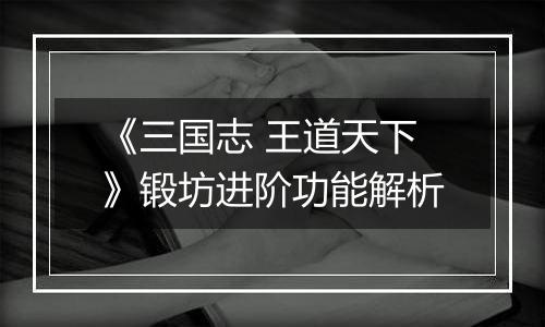 《三国志 王道天下》锻坊进阶功能解析