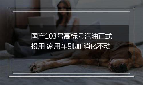 国产103号高标号汽油正式投用 家用车别加 消化不动