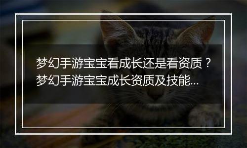 梦幻手游宝宝看成长还是看资质？梦幻手游宝宝成长资质及技能数量占比教学