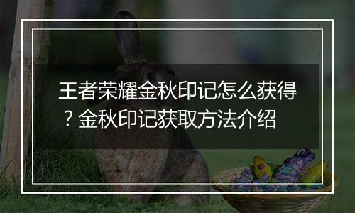 王者荣耀金秋印记怎么获得？金秋印记获取方法介绍