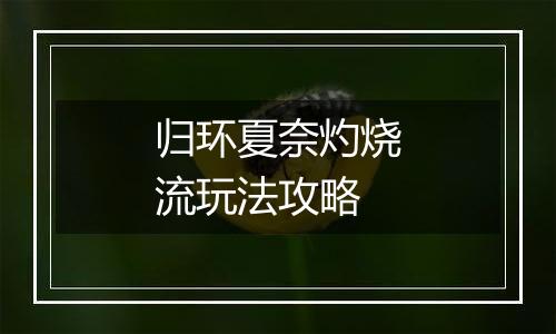 归环夏奈灼烧流玩法攻略