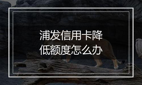 浦发信用卡降低额度怎么办