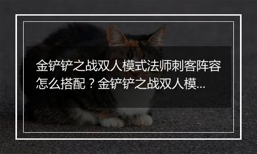 金铲铲之战双人模式法师刺客阵容怎么搭配？金铲铲之战双人模式法师刺客阵容搭配攻略