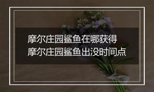 摩尔庄园鲨鱼在哪获得 摩尔庄园鲨鱼出没时间点