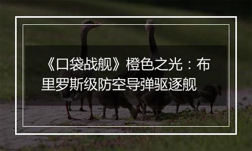 《口袋战舰》橙色之光：布里罗斯级防空导弹驱逐舰