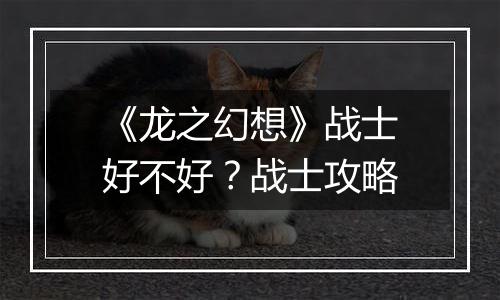 《龙之幻想》战士好不好？战士攻略