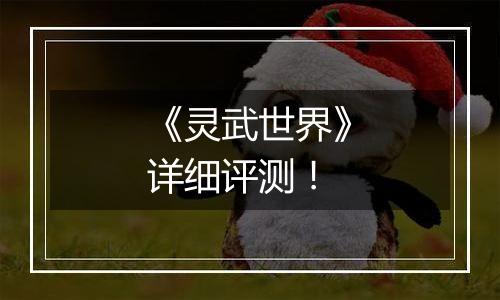 《灵武世界》详细评测！