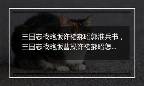 三国志战略版许褚郝昭郭淮兵书，三国志战略版曹操许褚郝昭怎么搭配战法？