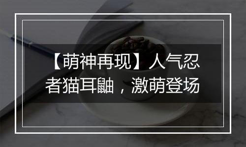【萌神再现】人气忍者猫耳鼬，激萌登场