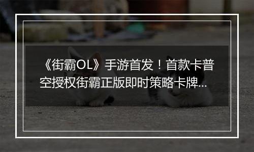 《街霸OL》手游首发！首款卡普空授权街霸正版即时策略卡牌手游