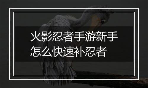 火影忍者手游新手怎么快速补忍者