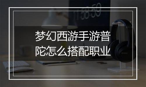 梦幻西游手游普陀怎么搭配职业