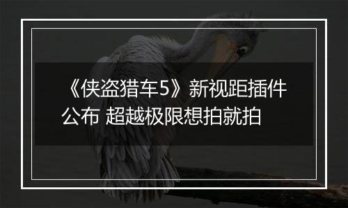 《侠盗猎车5》新视距插件公布 超越极限想拍就拍