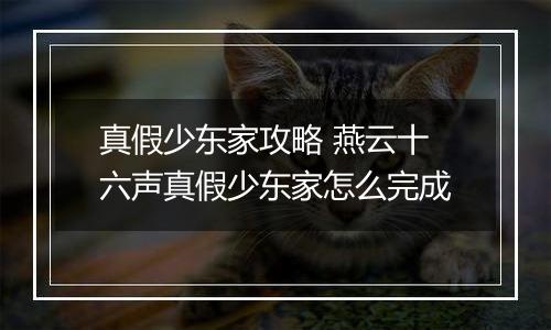 真假少东家攻略 燕云十六声真假少东家怎么完成