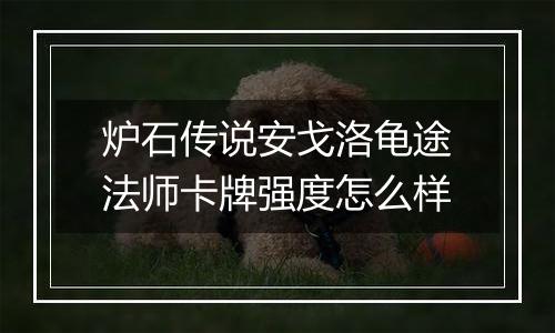 炉石传说安戈洛龟途法师卡牌强度怎么样