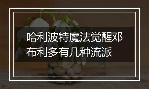 哈利波特魔法觉醒邓布利多有几种流派