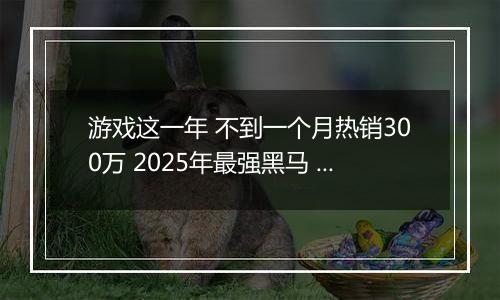 游戏这一年 不到一个月热销300万 2025年最强黑马 居然是这款国产游戏