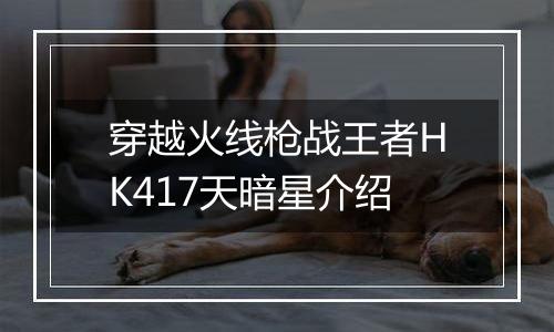 穿越火线枪战王者HK417天暗星介绍