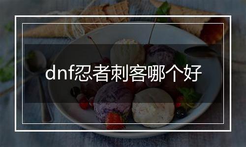 dnf忍者刺客哪个好