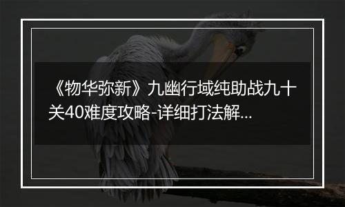 《物华弥新》九幽行域纯助战九十关40难度攻略-详细打法解析
