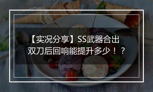 【实况分享】SS武器合出双刀后回响能提升多少！？