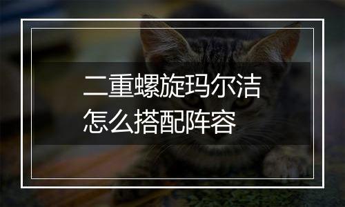 二重螺旋玛尔洁怎么搭配阵容