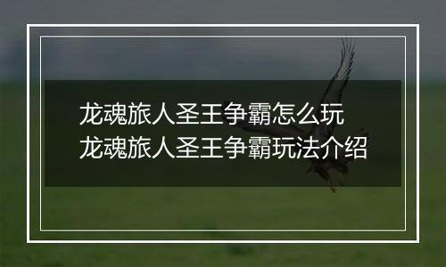 龙魂旅人圣王争霸怎么玩 龙魂旅人圣王争霸玩法介绍