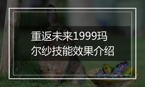 重返未来1999玛尔纱技能效果介绍