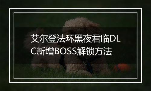 艾尔登法环黑夜君临DLC新增BOSS解锁方法