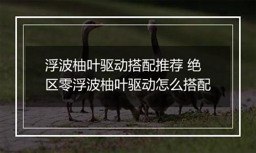 浮波柚叶驱动搭配推荐 绝区零浮波柚叶驱动怎么搭配