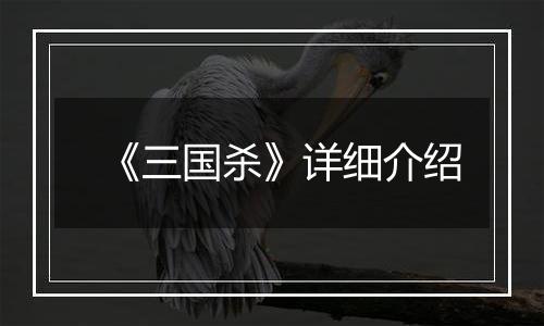 《三国杀》详细介绍