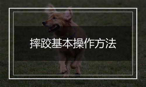 摔跤基本操作方法