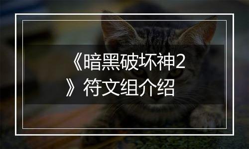 《暗黑破坏神2》符文组介绍