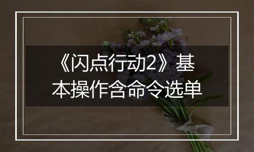 《闪点行动2》基本操作含命令选单