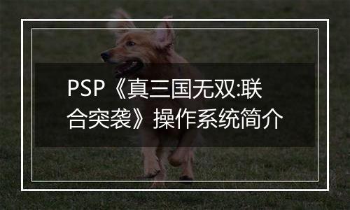 PSP《真三国无双:联合突袭》操作系统简介