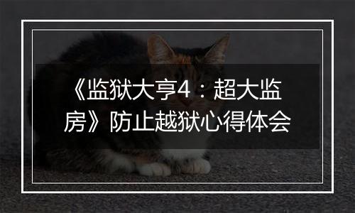 《监狱大亨4：超大监房》防止越狱心得体会